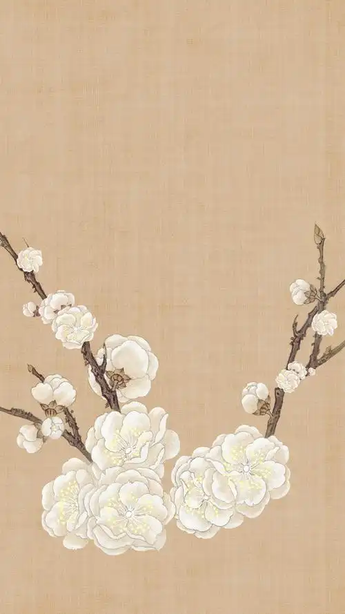 中国风白花工笔画h5背景素材_高清jpg图片pic设计素材_墨鱼部落格