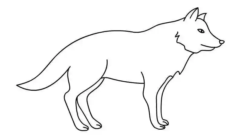 狼简笔画的画法 狼简笔画的教程