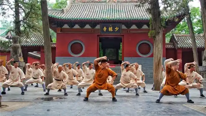 少林功夫段品制一期中段晋段仪式在少林寺举行