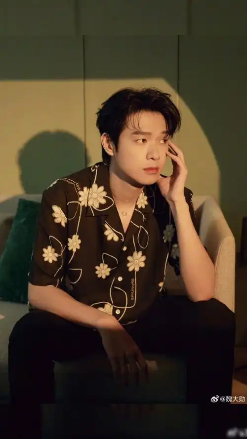 魏大勋发了一个光##魏大勋花衬衫托脸照