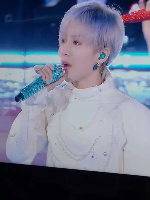 刘雨昕哭了##刘雨昕唱promise哽咽了