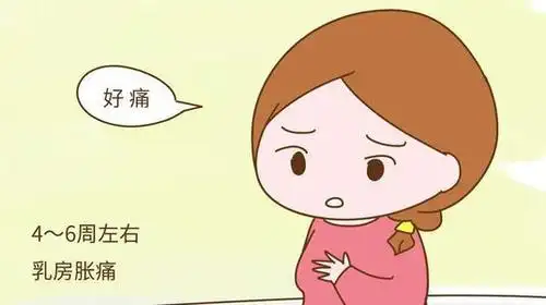东莞长安怀孕乳房胀痛?