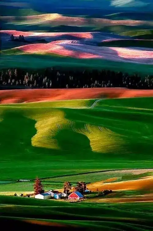 1080_1626竖版 竖屏