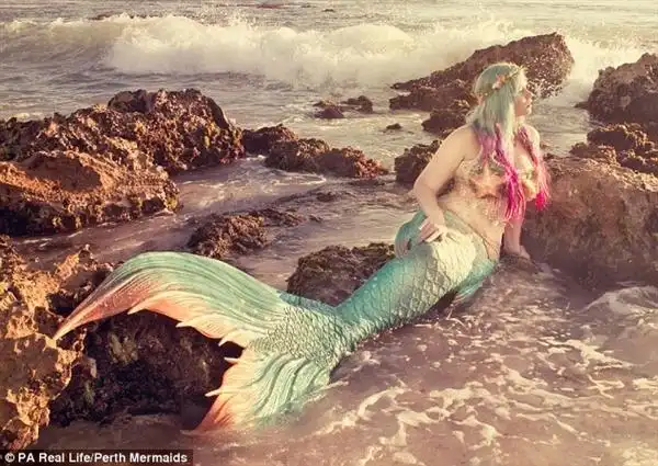 美爆了迪士尼女粉丝变真人版美人鱼与鲨鱼同游