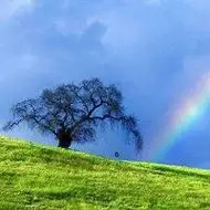 风景山水头像大全_微信头像图片大全