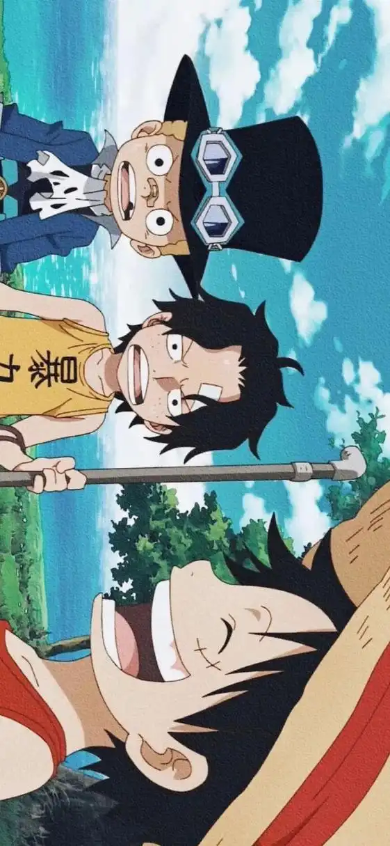 动漫壁纸# #海贼王# 艾斯萨博路飞三兄弟三小只