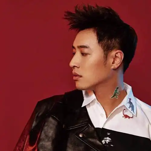 潘玮柏的飞机头