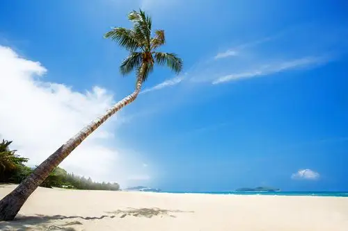 大海 椰树 沙滩发布时间:2016-08-23 海南万宁日月湾旖旎风光 标签