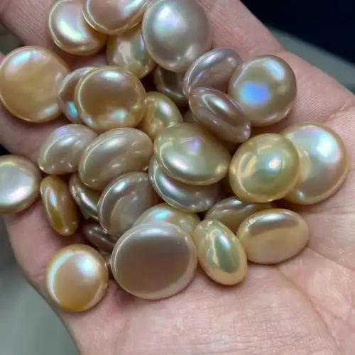 有机天然珍珠蚌