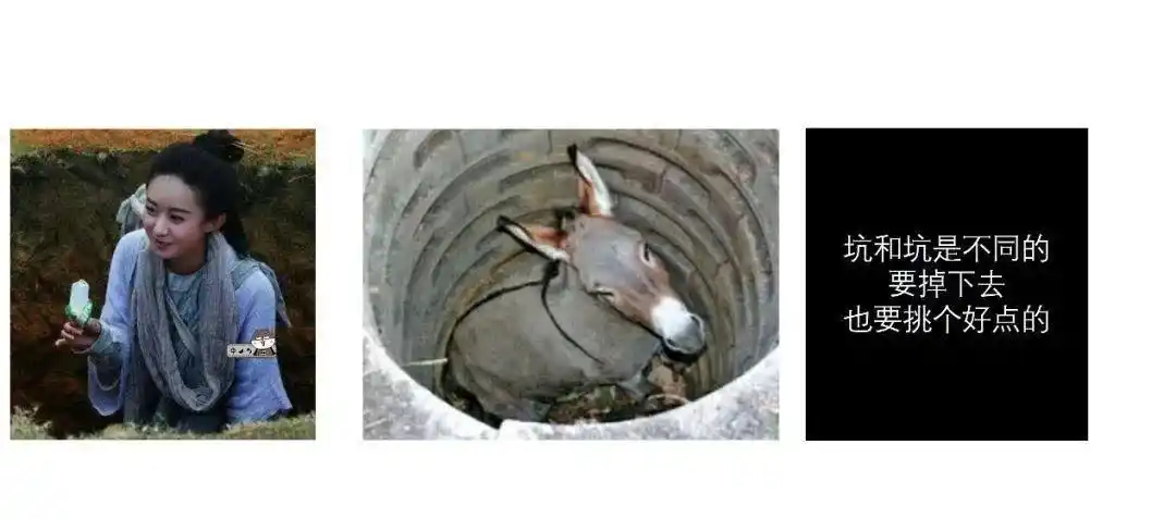 人生苦短不要tob