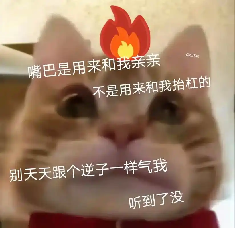 嘴巴是用来和我亲亲的  不是用来抬杠的#猫咪表情包 #歪嘴小 - 抖音