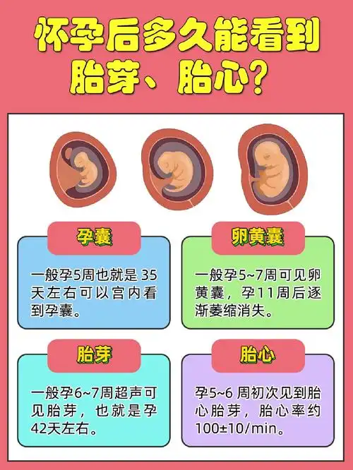 停经59天才看到胎芽胎心,没人比我更晚吧!