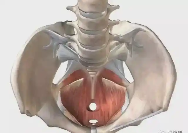 女性对那事提不起兴趣居然是它在作祟