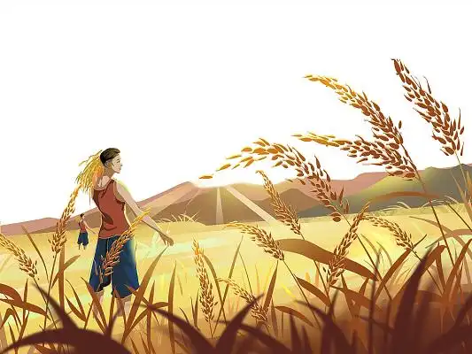 黄色卡通稻田麦田麦穗农民秋天秋收png素材元素