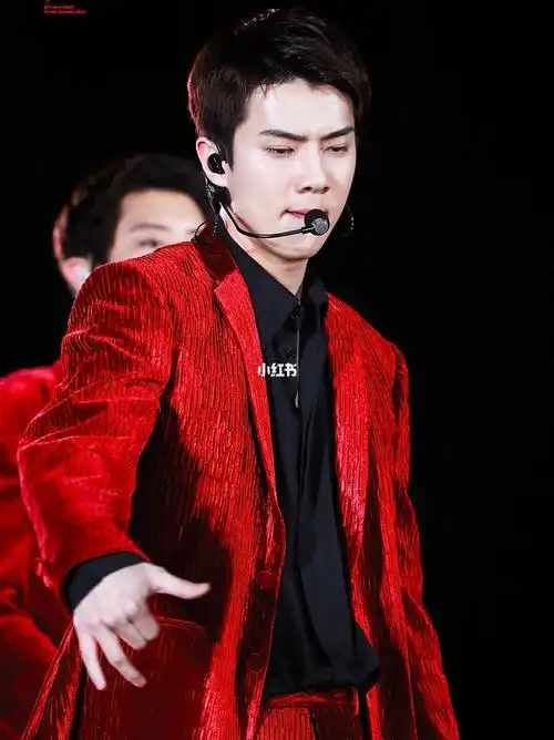 exo  #金钟仁  #吴世勋  #朴灿烈  #都暻秀  #金珉锡