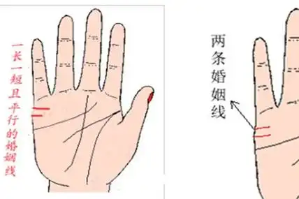 【图】手相婚姻线有两条 代表有两段婚姻吗