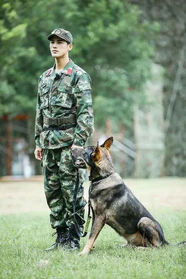 奇兵神犬姜潮张馨予热搜霸榜教官何捷人气高涨