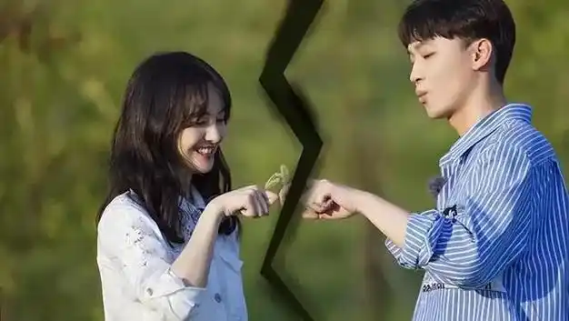 法院判中介还郑爽650万,从顶流小花到人人喊打的,她哪里错了|张翰