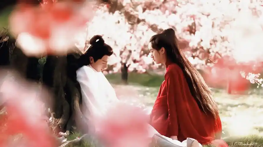 成毅|禹司凤×袁冰妍|褚璇玑 cr.xddddd甜… - 堆糖,美图壁纸兴趣社区