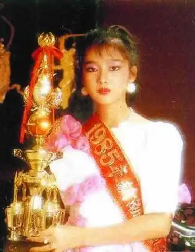 朱丽倩华丽变身:从青春玉女到公认"华嫂"(图)