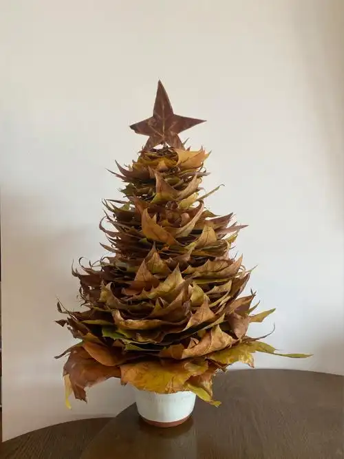 梧桐树叶圣诞树