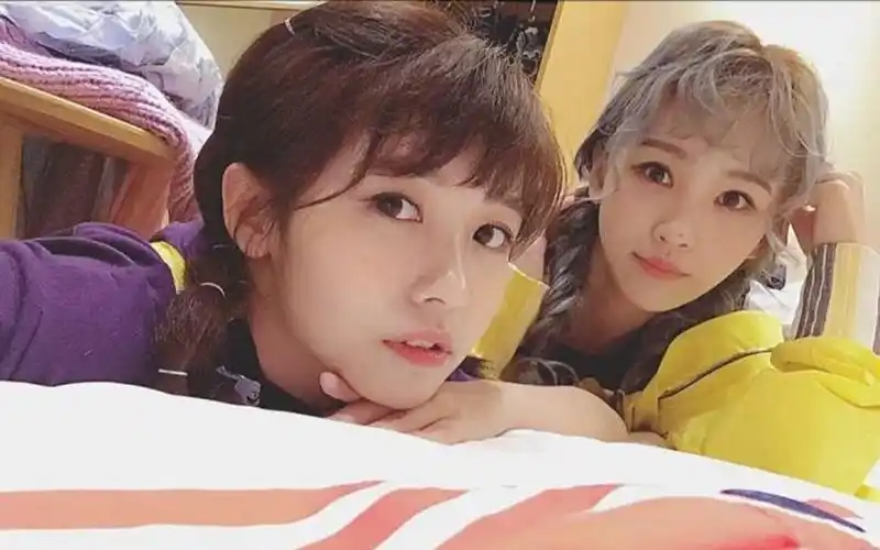 【呆七】【蒋申 x 赖美云】我的南极圈cp 一点都不甜