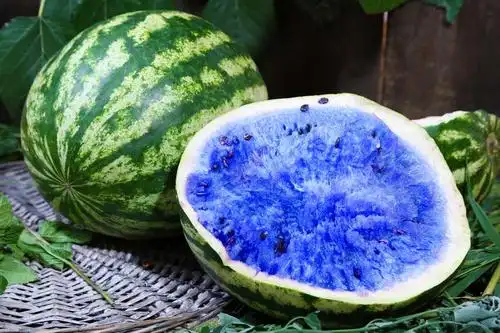 蓝色的西瓜