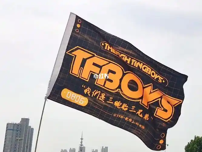 宣tfboys大旗