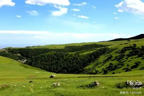 呼和浩特高山草甸 井尔梁
