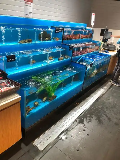 生鲜超市海鲜池大型商用制冷机一体 超市鱼缸 贝类池海鲜缸