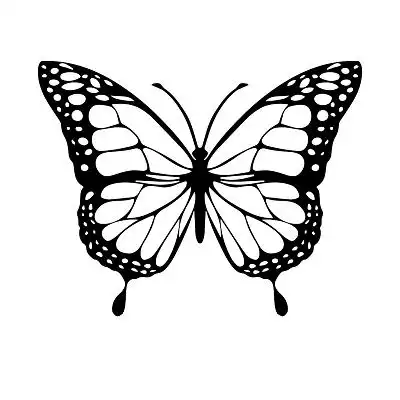 简笔画风蝴蝶剪影素材png素材蝴蝶元素