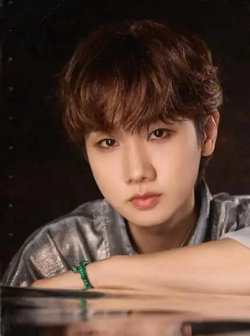 汪苏泷回应上歌手碎了