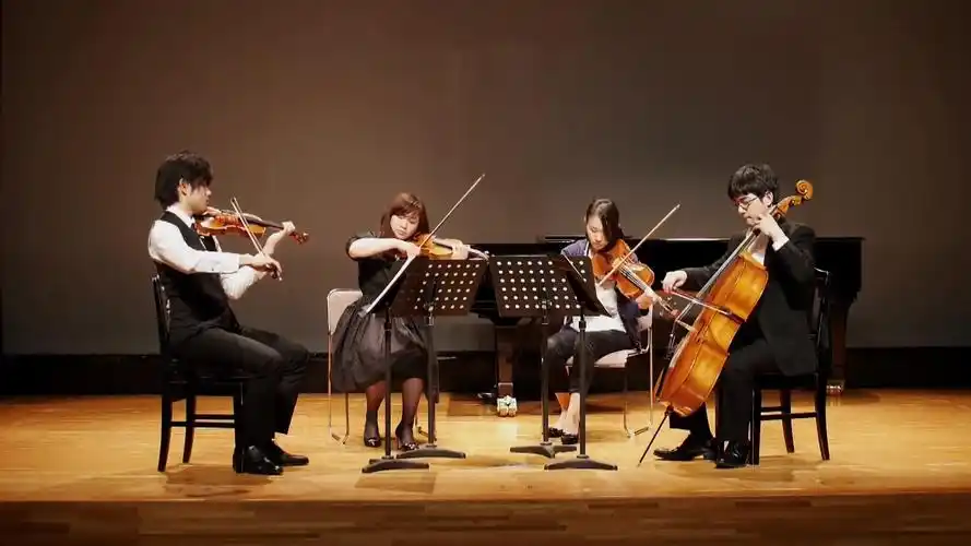 【弦乐四重奏 quartet papas】mermaid lagoon overture 美人鱼礁湖序