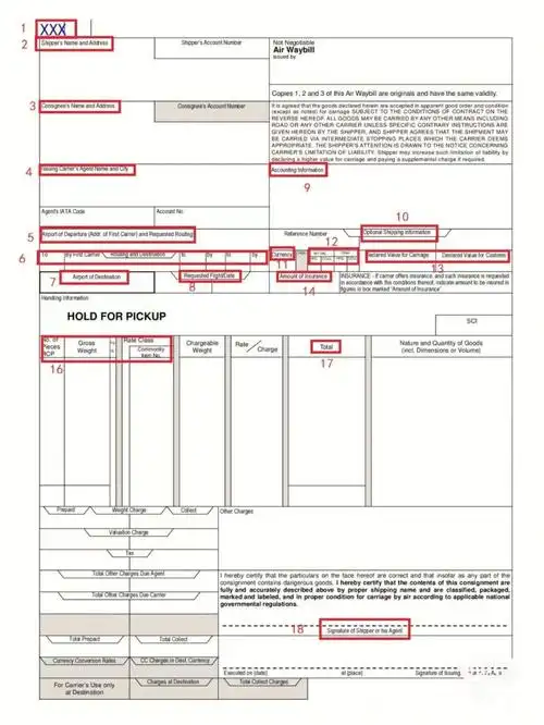 3分钟74看懂空运提单内容