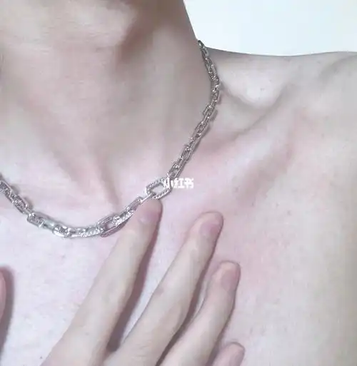 新项链93arsis#项链  #手控  #手控集中营  #锁骨  #喉结  #小众