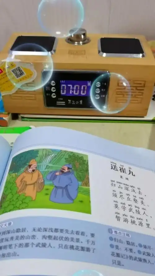 《送崔九》裴迪 归山深浅去,须尽丘壑美.莫学武陵人,暂游桃源里.