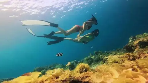 这里是门槛最高的美女拍照胜地_潜水