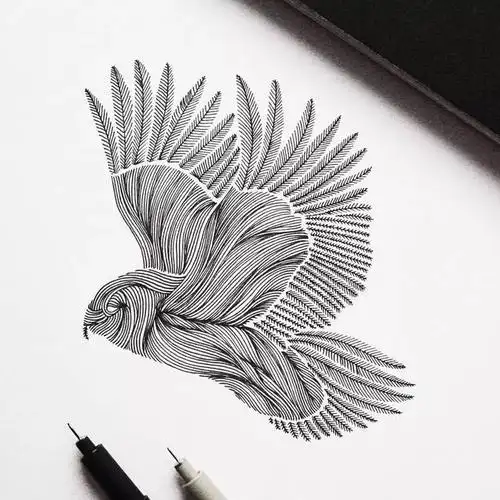 用黑白灰关系和点线面的结合 表现出动物的的体积感和层次感