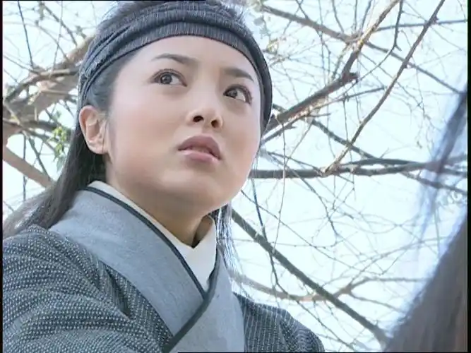 p>《大汉天子》是宝石影业投资公司在2001年出品的一部电视剧,由 a