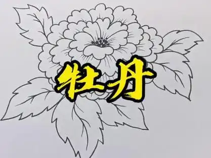 简单好学,希望看到的朋友可以花开富贵,天天开心#牡丹花 #简笔画