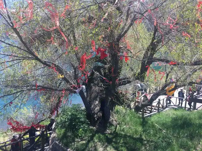 游天山天池 - 美篇