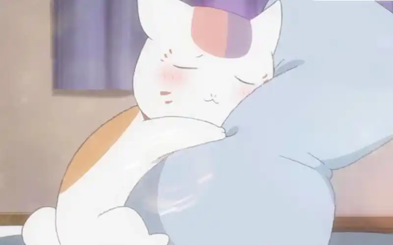 【夏目友人帐】三三对酒的感情,好热烈呀 ! ! !