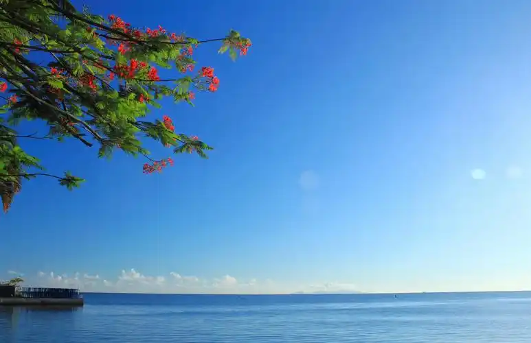 面朝大海 春暖花开发布时间:2015-08-09 一个阳光灿烂的午后,蓝天白云