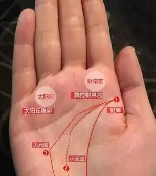 手部太阳丘隆起的女人财运很好也容易嫁富贵老公