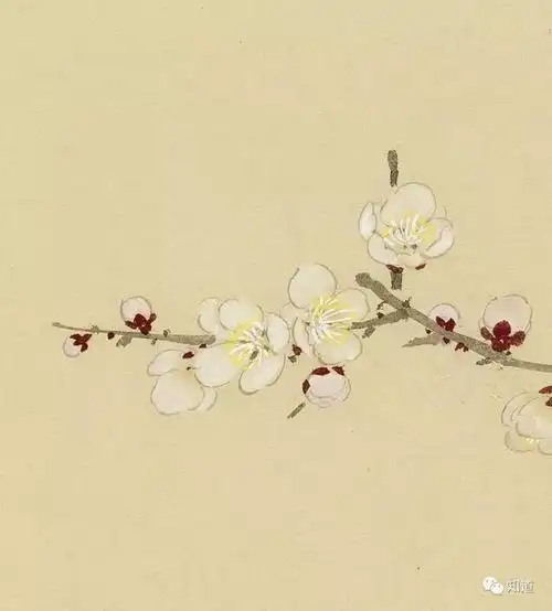 杏花墙外一枝横,看尽春风不回首