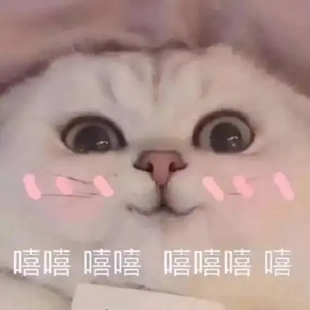 嘻嘻嘻  猫咪_猫咪_嘻嘻表情