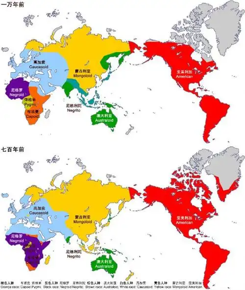 分布示意图灰色部分为无人区y染色体谱系与人种的同步演化与现代人各