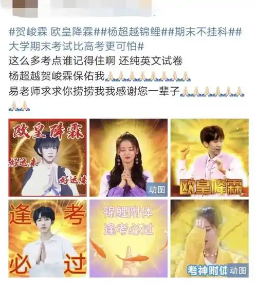 黄金矿工 / 锅巴垃圾转发这个锦鲤 / 甄嬛 / 杨超越"转发保佑型"一夜