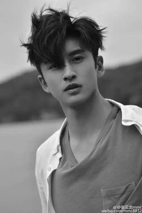 王一菲张云龙公开恋情,王一菲张云龙公开恋情