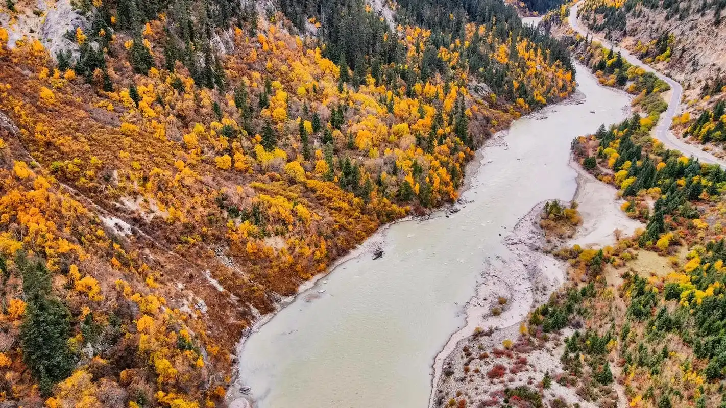 如果让我选择,秋天进藏路上最美的秋景 - 抖音